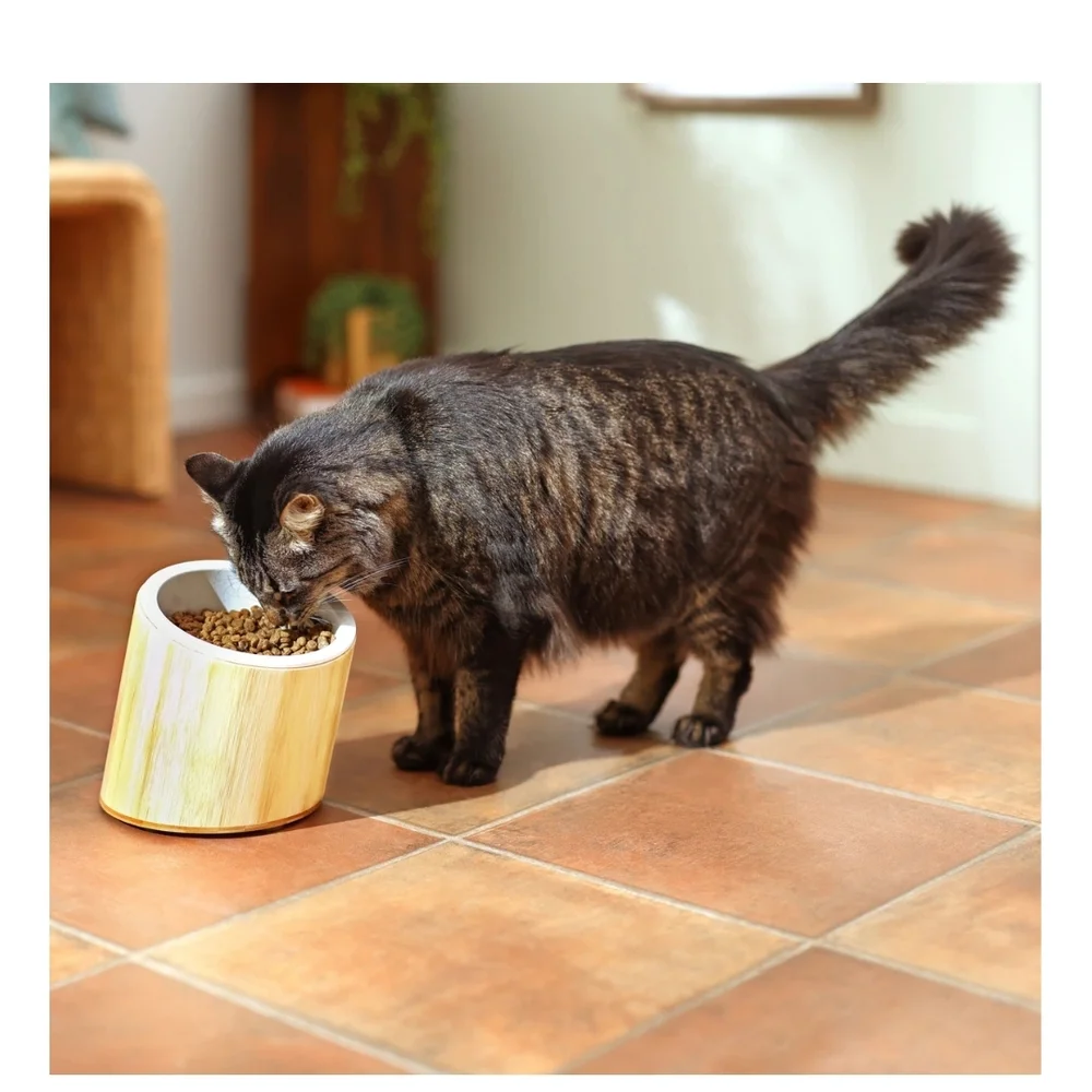 Bamboo and Cream Bowl